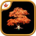 Fire Maple Games Collection Icon
