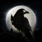 Night Crows Logo