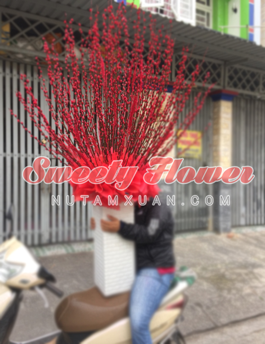 binh-nu-tam-xuan-trang-tri-cua-hang-rau-sach-sweetyflower.com