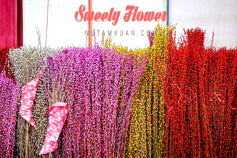nu-tam-xuan-tai-tphcm-sweetyflower_com